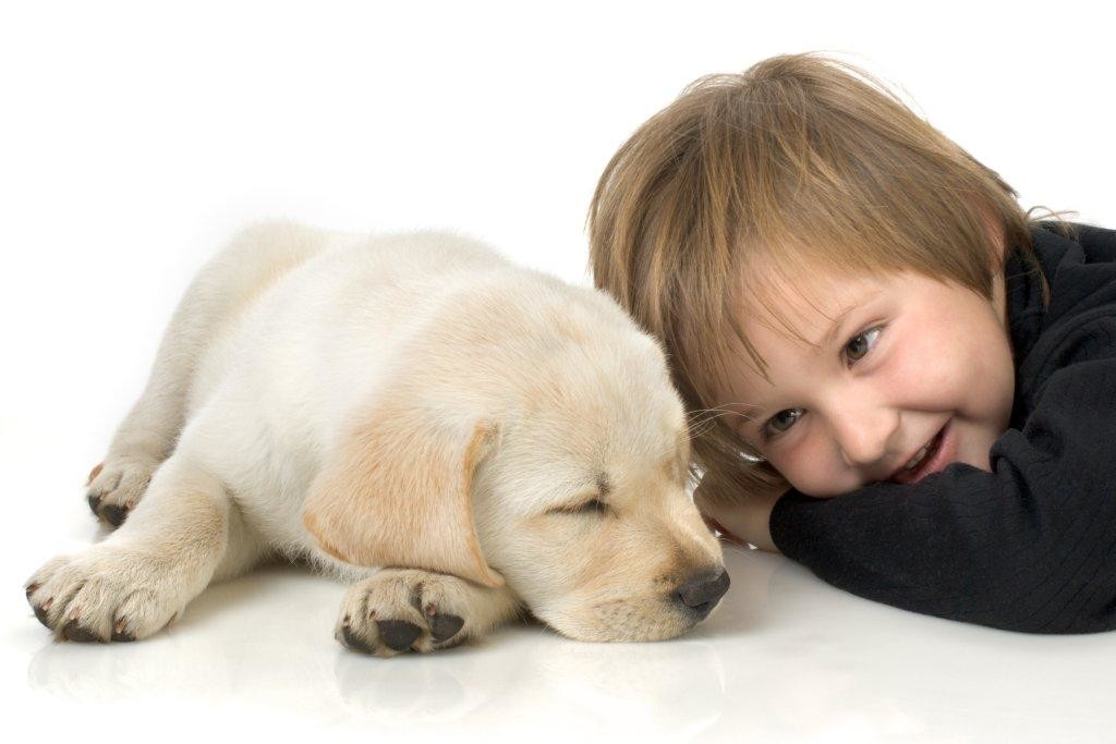 fotos-criança-e-cachorro-para-senhoritas-2