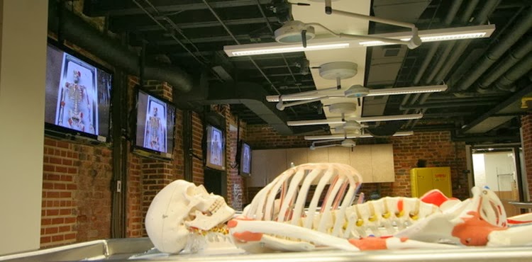 MPB_Gross_Anatomy_Lab_018[4]