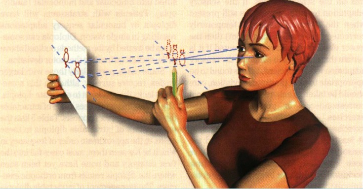 exercício ortóptico