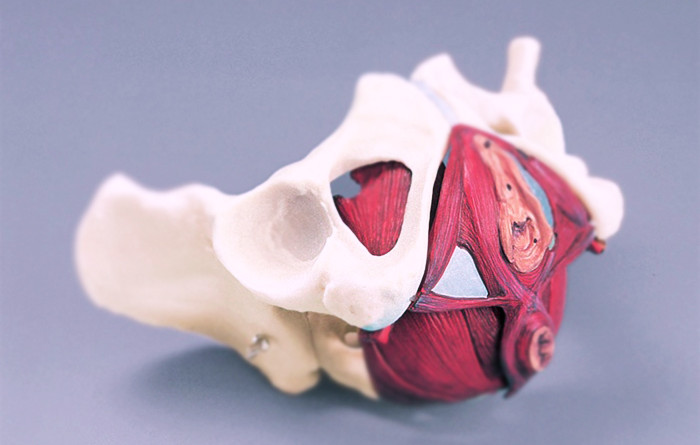 assoalho-pelvico-cuidados