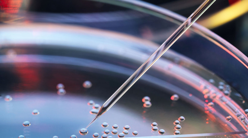 celula-tronco-no-tratamento-da-incontinencia-urinária